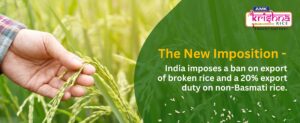 The New Imposition – India imposes a ban on export of broken rice and a 20% export duty on non-Basmati rice